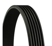 CONTITECH 6PK745 Cinghia servizi per VW Polo Schrägheck (6R1, 6C1) TIGUAN (5N)