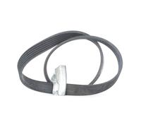 CONTITECH 6PK842 ELAST T1 Cinghia servizi