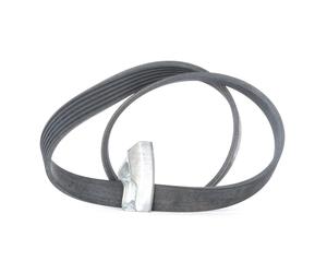 CONTITECH 6PK842 ELAST T1 Cinghia servizi