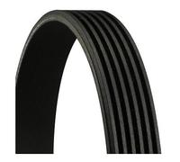 6PK842 ELAST CONTINENTAL CTAM Cinghia Poly-V per AUDI,SEAT,SKODA,VW