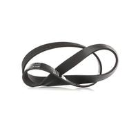 ContiTech Cinghia Poly-V 6PK900 per Audi, Citroën, Fiat, Peugeot, Renault, VW