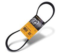 CONTITECH 6PK905 EXTRA Cinghia Poly-V