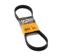 CONTITECH 6PK905 EXTRA Cinghia servizi adatto per PEUGEOT 207 (WA, WC) 3008 (0U)
