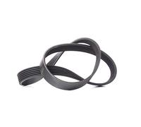 Cinghia Poly-V CONTINENTAL 6PK923