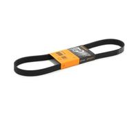 ContiTech Cinghia Poly-V 6PK948 per Audi, Citroën, Fiat, Ford, Honda, Peugeot