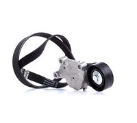 Contitech 6PK962K1 - Kit cinghia di accessori