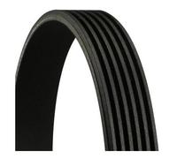 CONTITECH 6PK970 Cinghia Poly-V