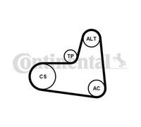 CONTITECH 6PK995K1 Kit Cinghie Poly-V con rullo tenditore per VW POLO (9N)