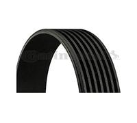 Cinghia Poly-V CONTINENTAL 7PK1642