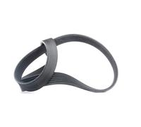 CONTITECH 7PK1035 Cinghia servizi