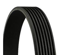 ContiTech Cinghia servizi 7PK1066 EXTRA multirighe con nervature per Hyundai Kia