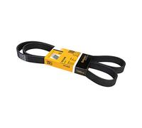 Contitech 7pk1549 Loose Multi-V cintura
