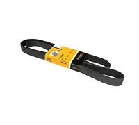 CONTITECH 7PK1605 Cinghia Poly-V