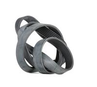 ContiTech Cinghia Poly-V 7PK1629 per BMW