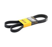 Contitech 7 PK 1642 Cinghie Trapezoidale