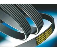 CONTITECH 7PK1675 Cinghia Poly-V