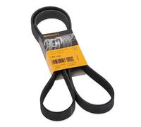 CONTITECH 7PK1705 Cinghia servizi