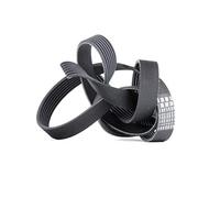 CONTITECH 7PK1785 Cinghia servizi Cinghia Poly-V Cinghia alternatore Cinghia dei servizi