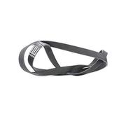 CONTITECH 7PK1855 Cinghia Poly-V