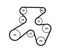 CONTITECH 7PK1855K1 Kit Cinghie Poly-V con rullo tenditore con galoppino