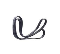 CONTITECH 7PK2035 Cinghia Poly-V