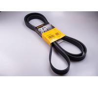 7PK2710 Cinghia Poly-V (MARCA-CONTITECH).