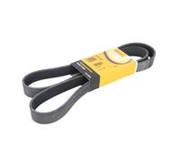 CONTITECH 8PK1550 Cinghia Poly-V, Cinghie di Trasmissione