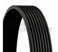 CONTITECH 8PK1660 Cinghia servizi
