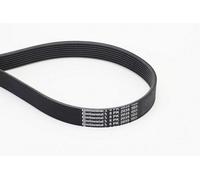 CONTITECH 8PK2035 Cinghia servizi adatto per MERCEDES-BENZ Classe M (W164)