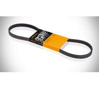 ContiTech Cinghia servizi Poly-V 9PK2337