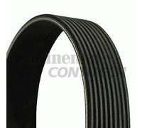 CONTITECH 9PK4145 Cinghia servizi