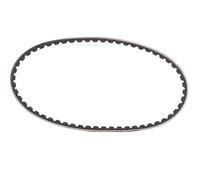 Cinghia trapezoidale CONTINENTAL AVX10X600