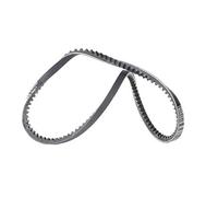 ContiTech Cinghia trapezoidale AVX10X735 per Audi VW Peugeot Ford Renault Fiat