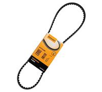 Contitech AVX 10 X 965 Cinghie Trapezoidale