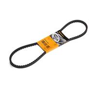 CONTITECH AVX13X1025 Cinghia trapezoidale