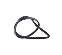 CONTITECH AVX13X1175 Cinghia trapezoidale