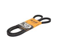 CONTITECH AVX13X1350 Cinghia trapezoidale