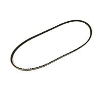 CONTINENTAL CTAM Cinghia trapezoidale per DAF FIAT FORD ISUZU IVECO LANCIA