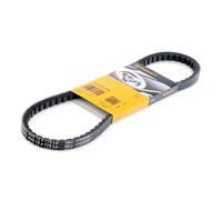 CONTITECH AVX13X775 Cinghia trapezoidale 775mm per FIAT CROMA (154)