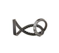 Cinghia trapezoidale CONTINENTAL AVX13X800