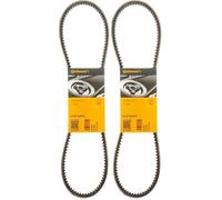 CONTITECH AVX13X975 Cinghia Ausiliaria (Confezione da 2)