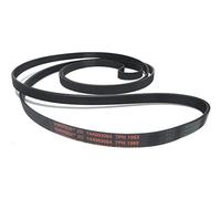 CONTITECH - Cinghia per asciugatrice 7PH 1965 (144003064)