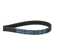 Contitech - Cinghia per lavatrice 4PJE 1244 (2816750100)
