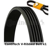 ContiTech Cinghia Scanalata - 5PK2020,5 Alette - Ventilatore Alternatore, Drive