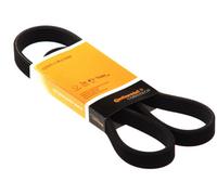 Contitech Cinghia Scanalata 6DPK1697 per BMW E90 E91 E92 E93 318d 320d 325d 330d