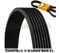 ContiTech Cinghia Scanalata - 7PK1076,7 Alette - Ventilatore Alternatore, Drive