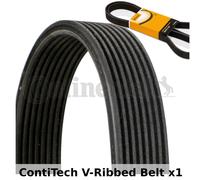 ContiTech Cinghia Scanalata - 8DPK1833,8 Alette - Ventilatore Alternatore, Drive