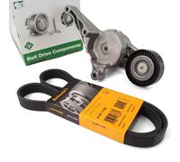 Contitech Cinghia Scanalata Ina Braccio per VW Caddy 3 Transporter V T5 1.9 2.0