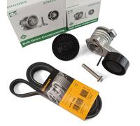 Contitech Cinghia Scanalata Ina Tenditore Ruolo per BMW 1 3 5 6 7er X1 X3 X5