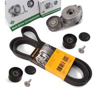 Cinghia Poly-V CONTINENTAL 8PK2035
